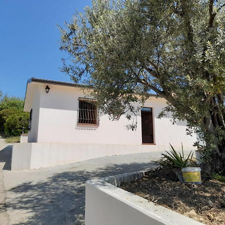 Villa Paradiso Montegiordano Buitenkant foto