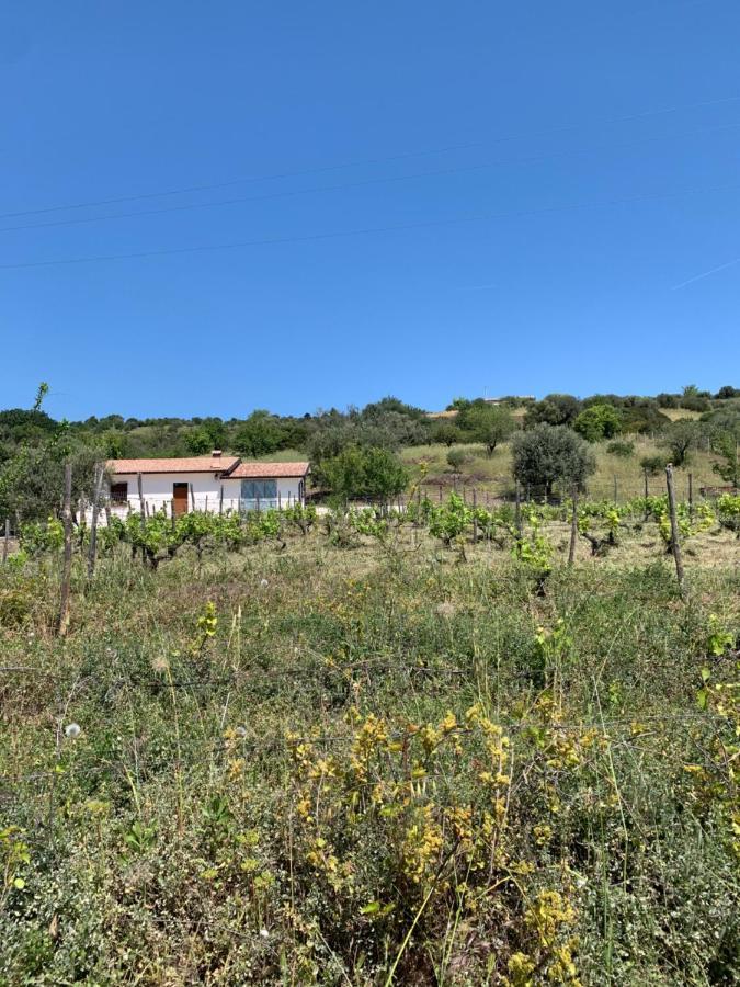 Villa Paradiso Montegiordano Buitenkant foto