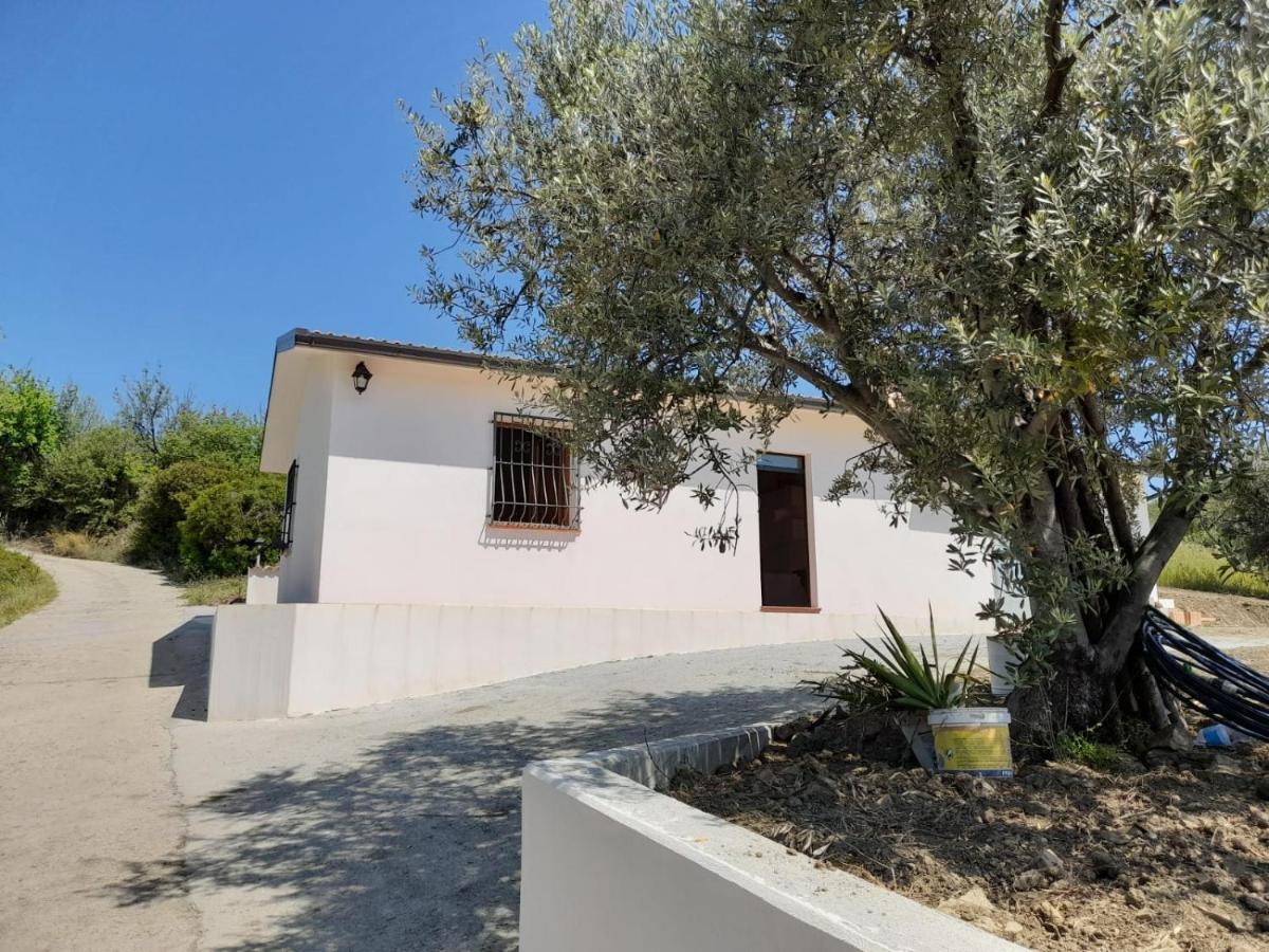 Villa Paradiso Montegiordano Buitenkant foto